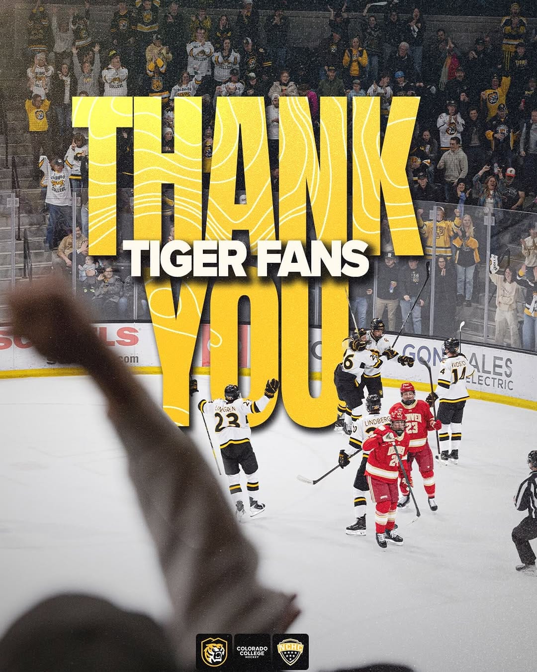 Post 9 by Colorado College Tiger Hockey on Instagram (image)