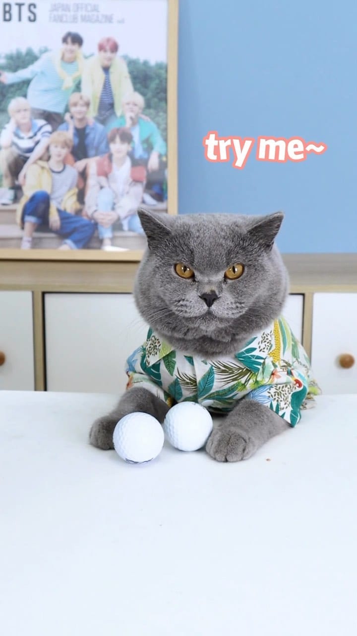 Post 9 by Oscar’s Funny World on Instagram (video)