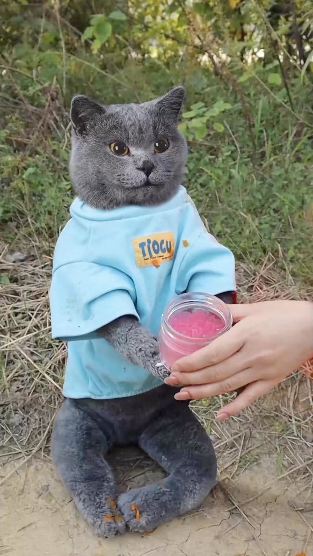 Post 2 by Oscar’s Funny World on Instagram (video)
