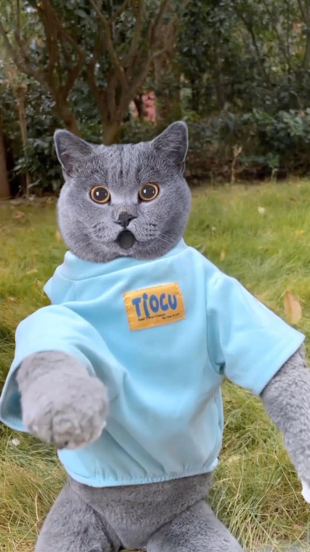 Post 6 by Oscar’s Funny World on Instagram (video)