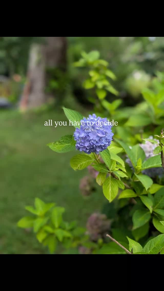 Post 1 by English | IELTS | Study in the USA | GENTLE Words Method on Instagram (video)