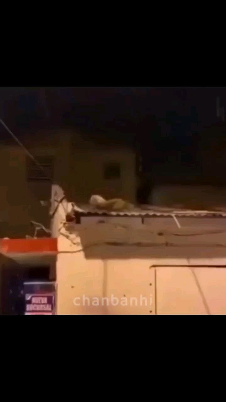 Post 1 by Chan on Instagram (video)