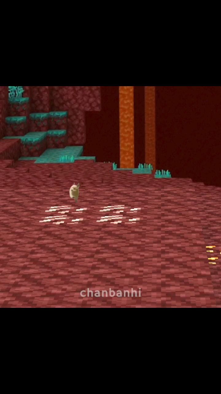 Post 3 by Chan on Instagram (video)