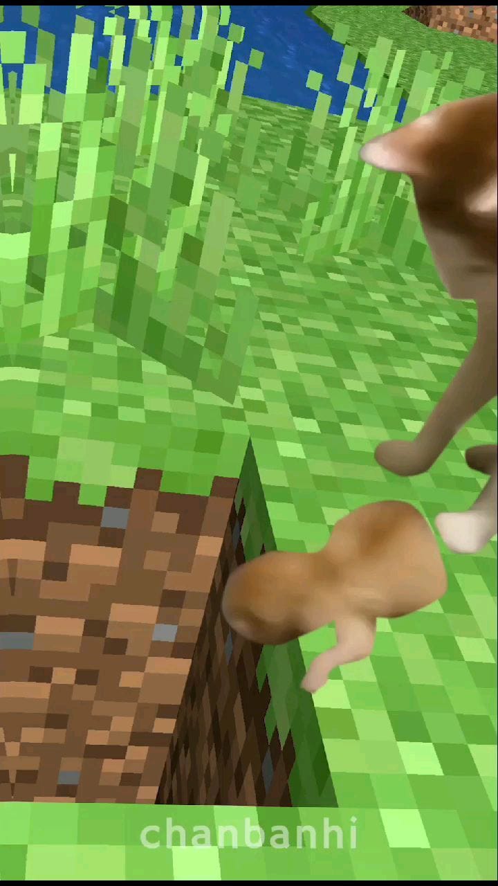 Post 9 by Chan on Instagram (video)