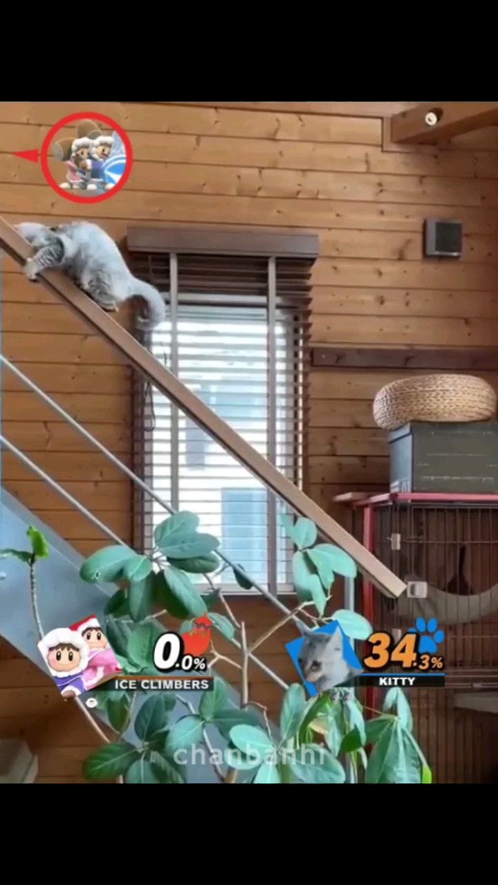 Post 4 by Chan on Instagram (video)