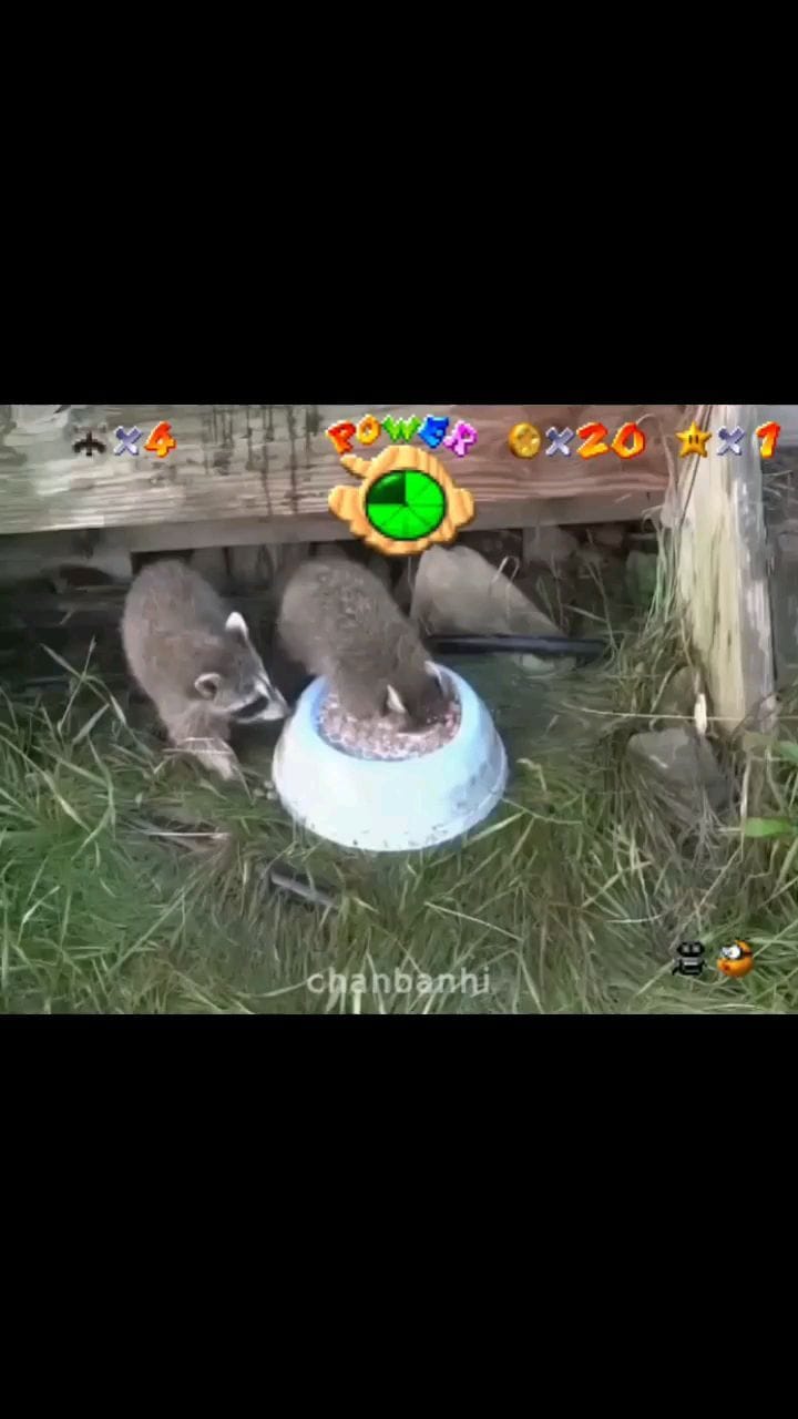 Post 5 by Chan on Instagram (video)
