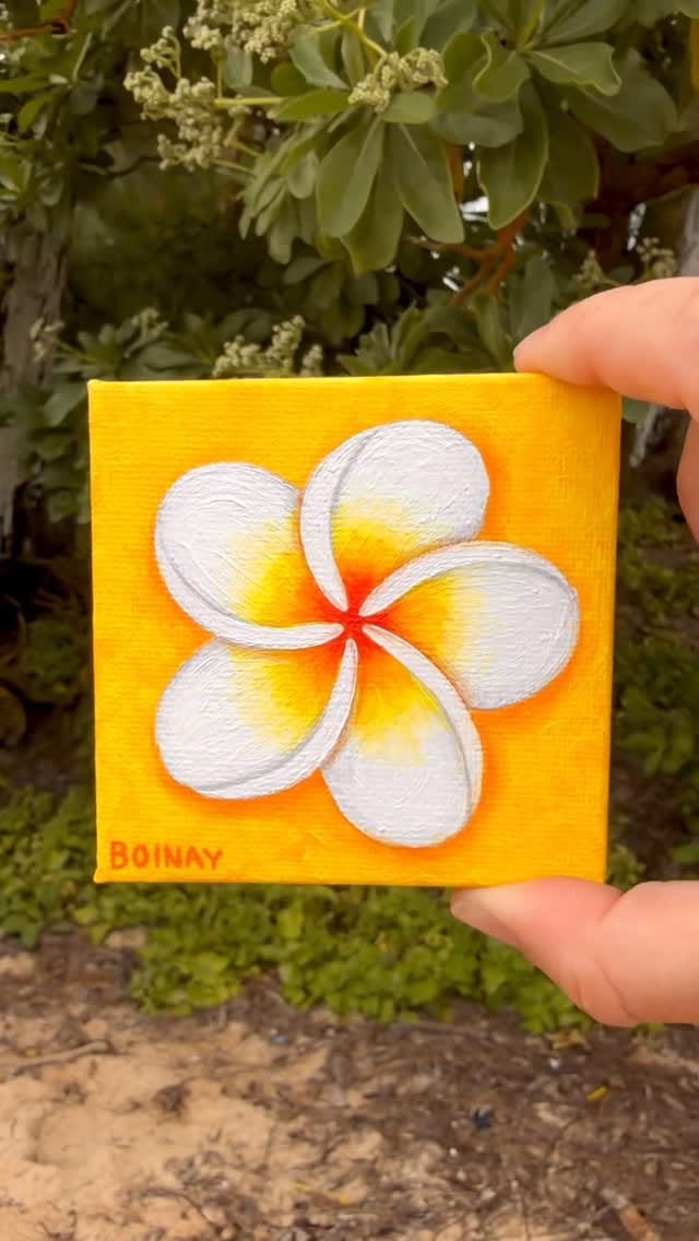 Post 1 by Stephanie Boinay on Instagram (video)