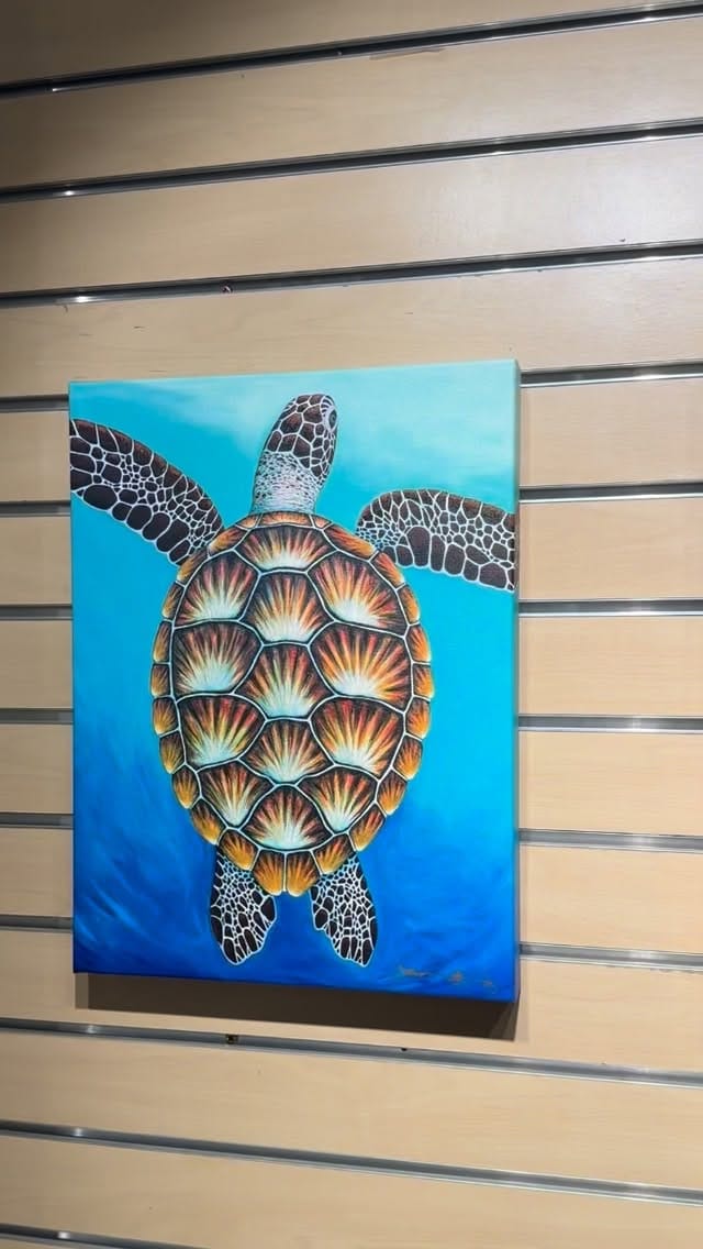 Post 5 by Stephanie Boinay on Instagram (video)