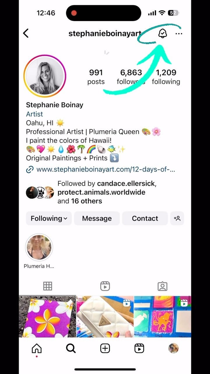 Post 10 by Stephanie Boinay on Instagram (video)