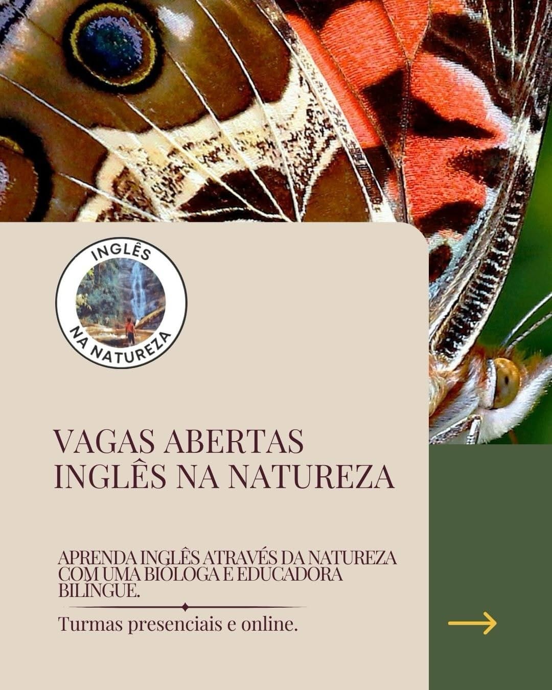Post 10 by Elizabeth | Inglês na Natureza on Instagram (carousel)