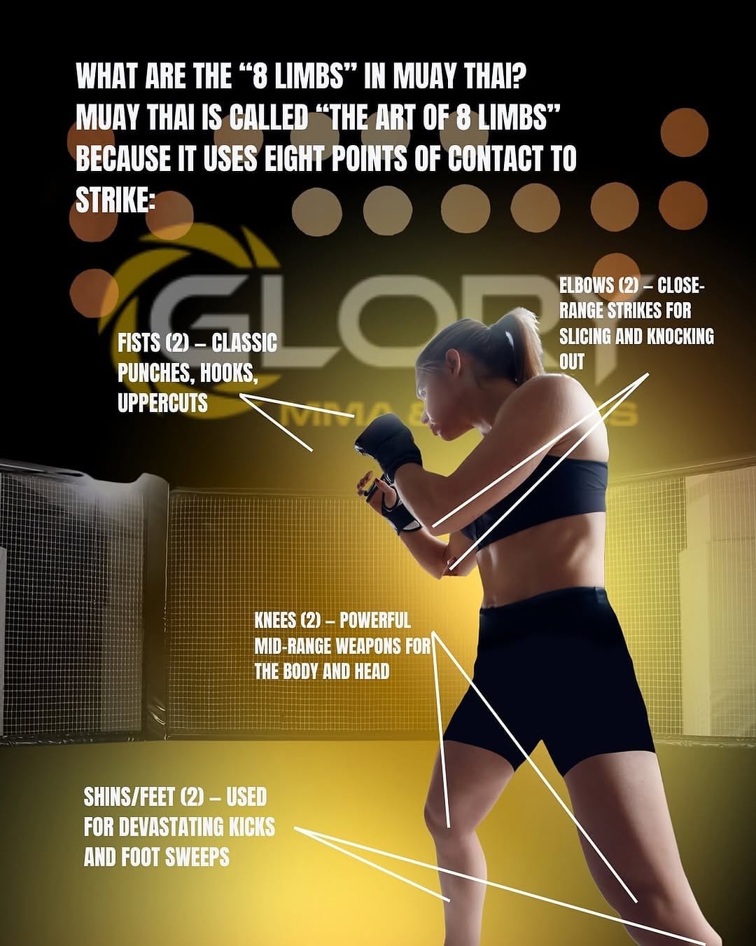 Post 8 by Glory MMA & Fitness on Instagram (image)