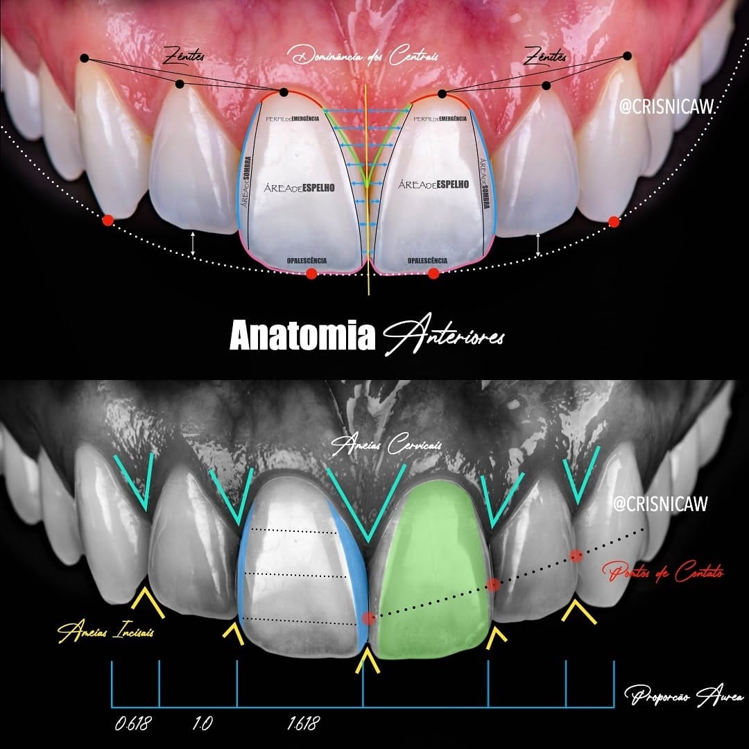 Post 9 by Crisnicaw Verissimo / Dentista / Professor on Instagram (carousel)