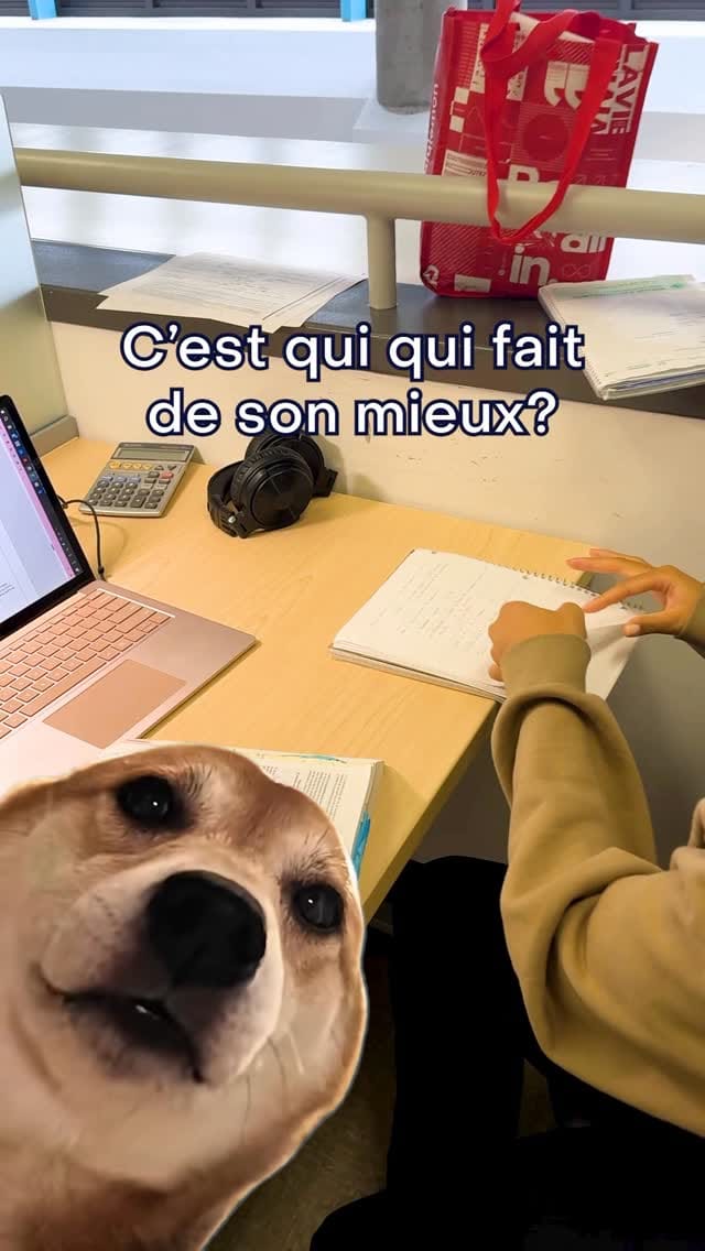 Post 9 by Vie étudiante UdeM on Instagram (video)
