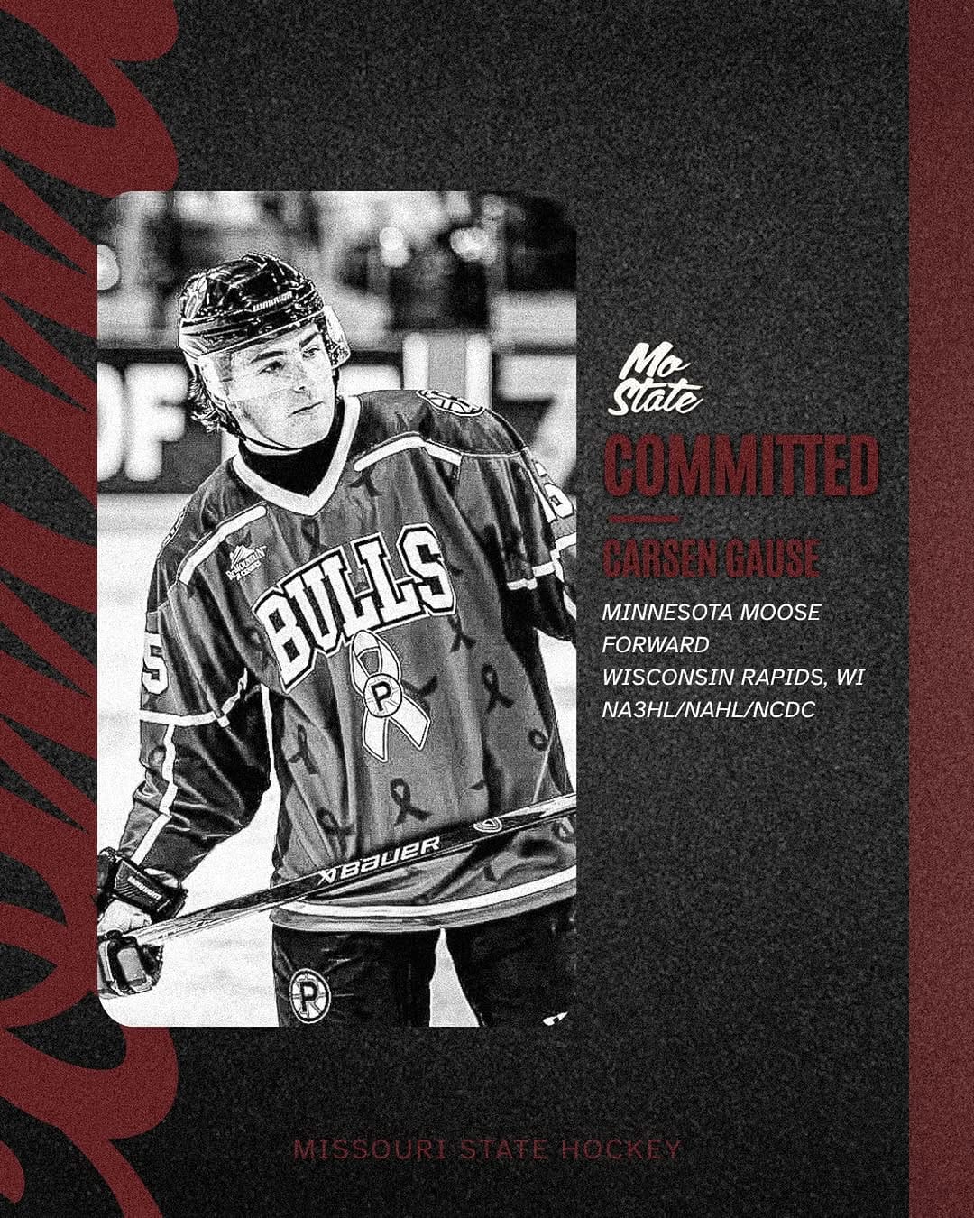 Post 3 by Missouri State Hockey on Instagram (image)