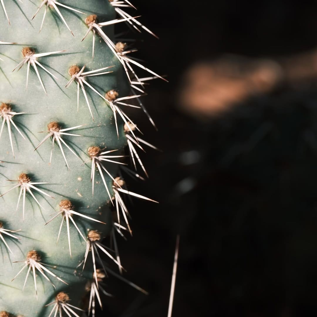 Post 4 by Dan Bailey on Instagram (image)