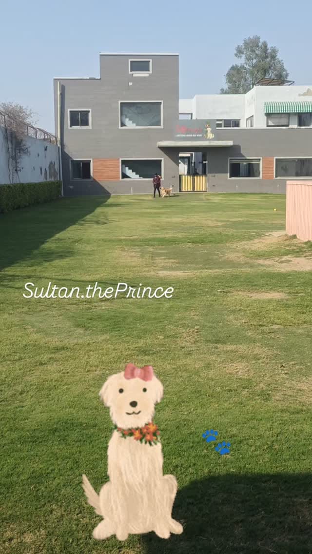 Post 4 by Jeffurry’s Pet Care on Instagram (video)