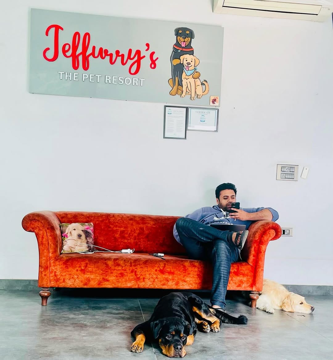 Post 8 by Jeffurry’s Pet Care on Instagram (image)