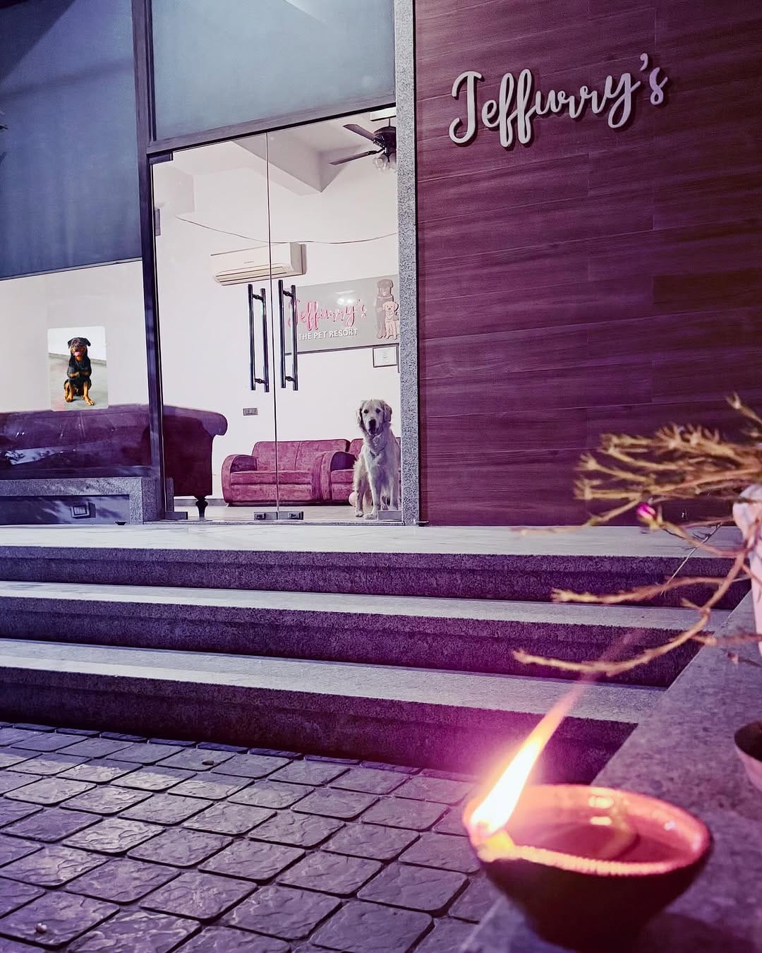 Post 10 by Jeffurry’s Pet Care on Instagram (image)