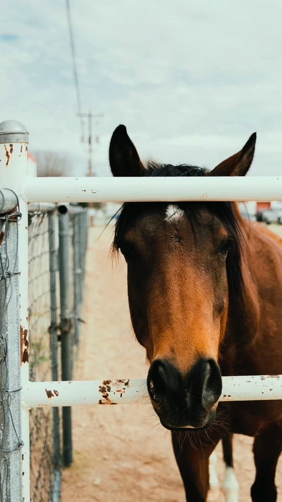 Post 9 by Arizona College of Agriculture, Life & Environmental Sciences on Instagram (video)