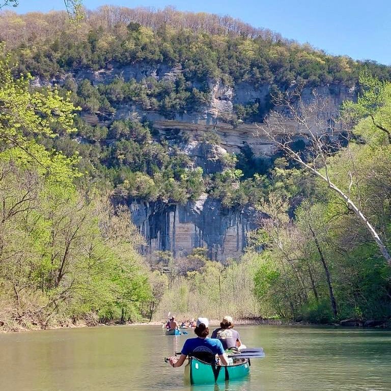 Post 2 by Carson’s Aquatics on Instagram (carousel)