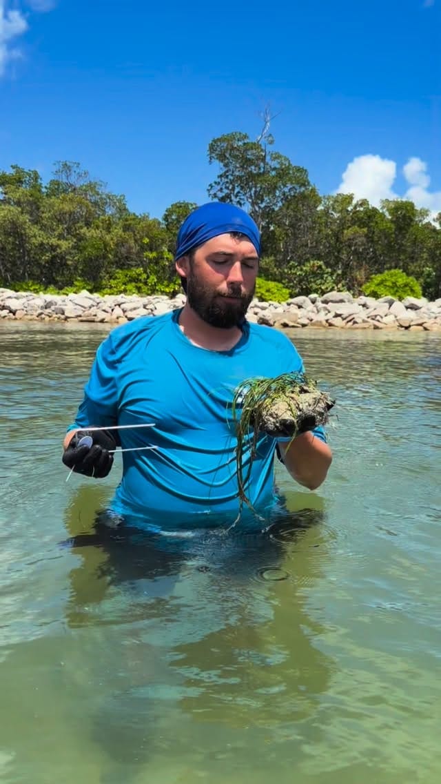 Post 3 by Florida Oceanographic Society on Instagram (video)