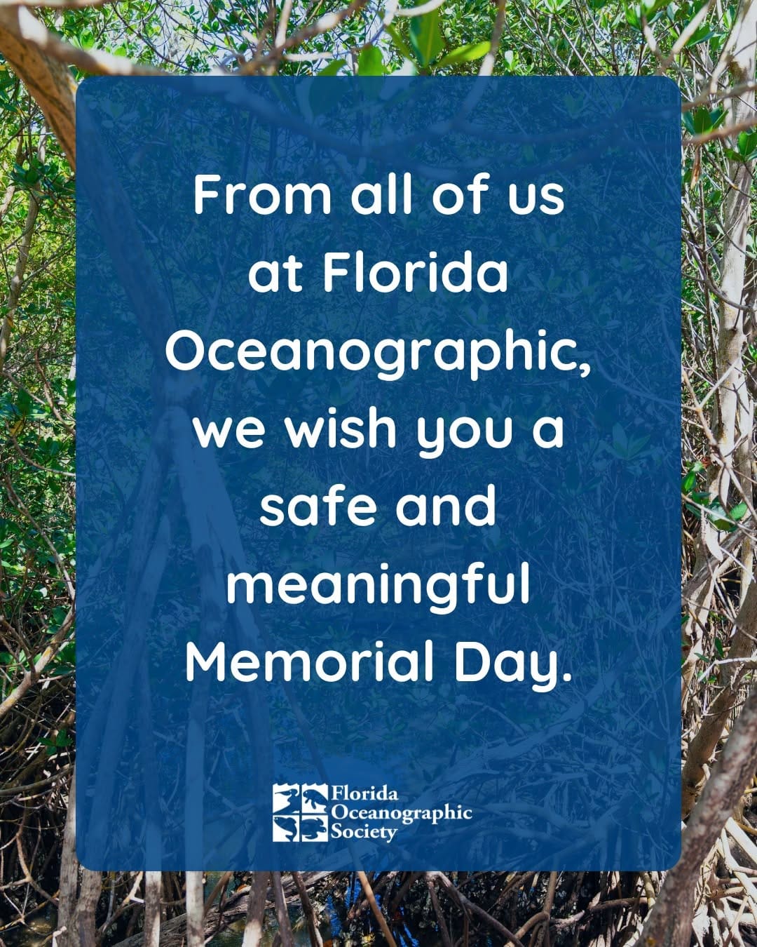 Post 4 by Florida Oceanographic Society on Instagram (image)