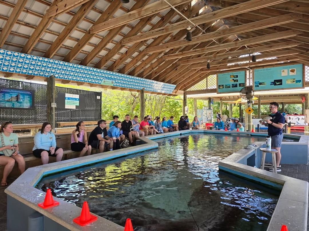 Post 5 by Florida Oceanographic Society on Instagram (carousel)