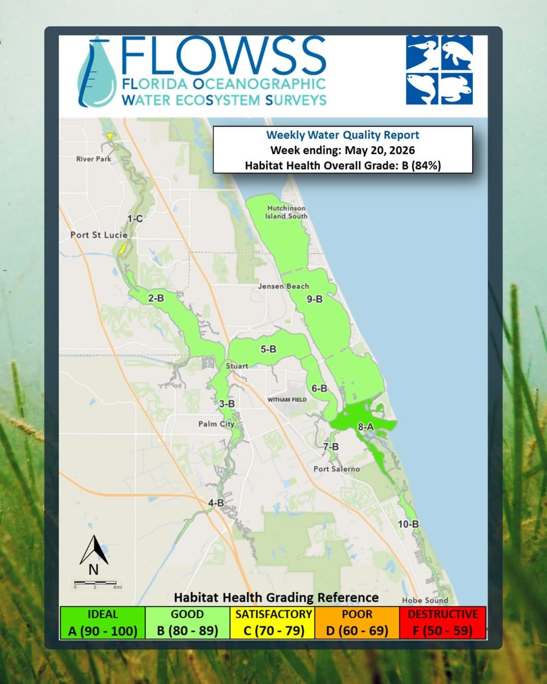 Post 7 by Florida Oceanographic Society on Instagram (carousel)