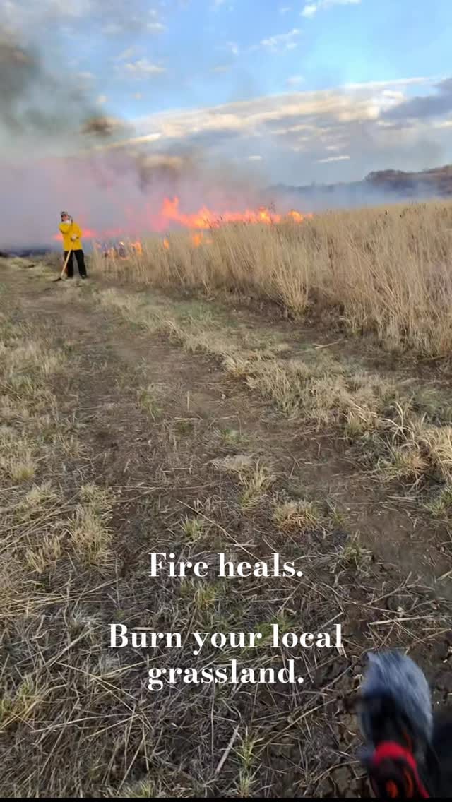 Post 7 by Seth Owens on Instagram (video)