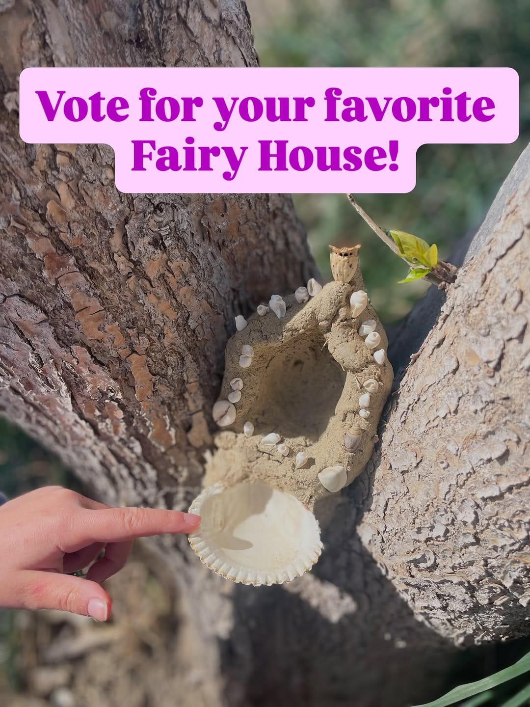 Post 7 by EverWild Forest School | Idaho on Instagram (carousel)