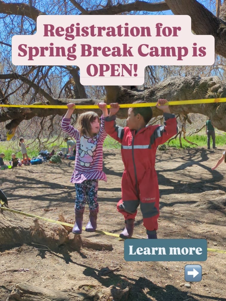 Post 8 by EverWild Forest School | Idaho on Instagram (carousel)