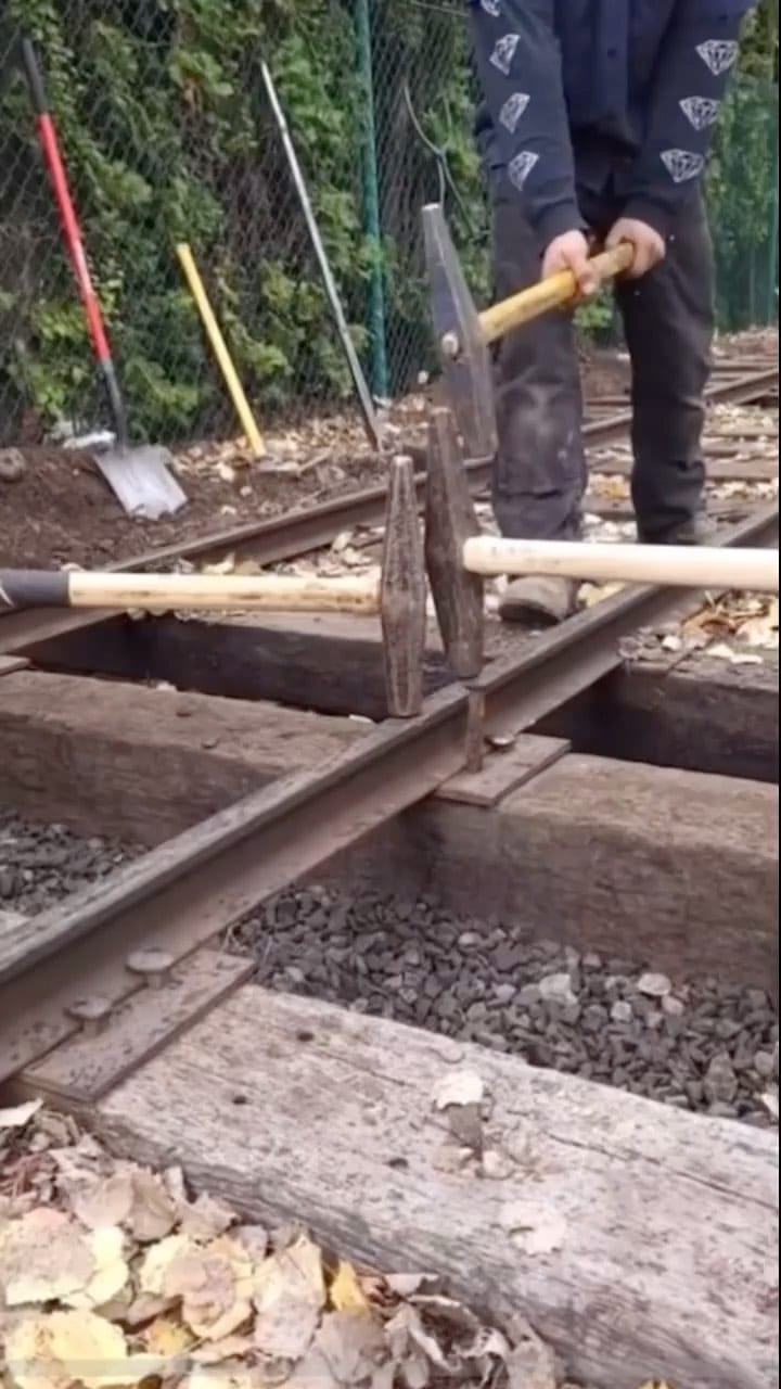 Post 10 by @deja_kennel on Instagram (video)