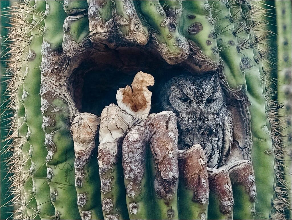 Post 6 by Marina Scarr on Instagram (image)
