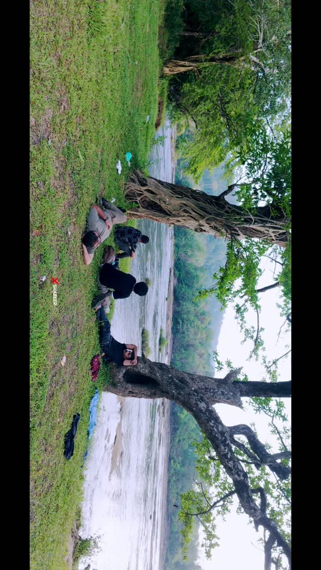 Post 7 by Shabeer Muhammed on Instagram (video)