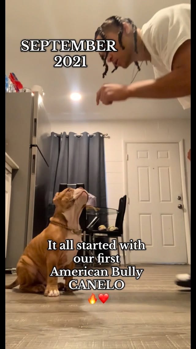 Post 8 by HPK on Instagram (video)