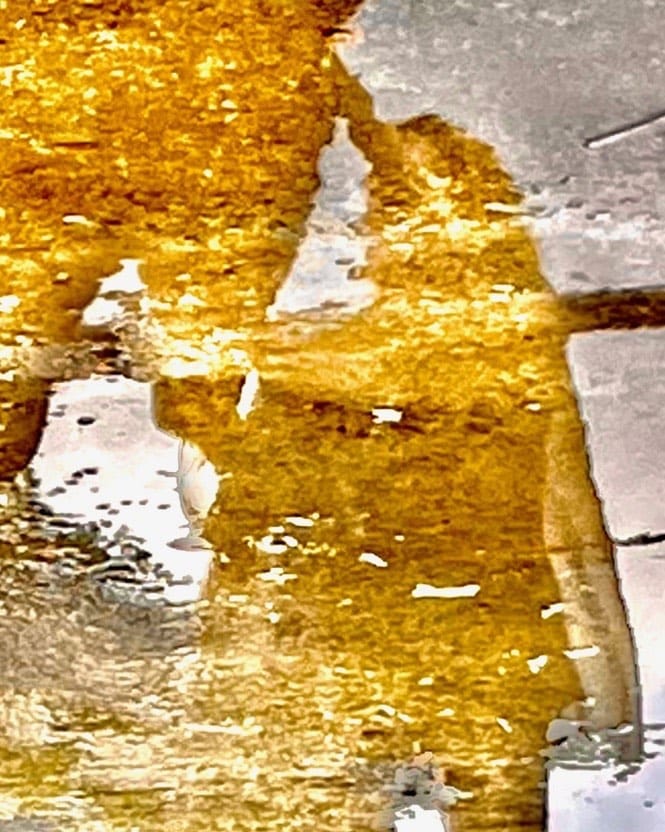Post 2 by Sandra Muss | Artist on Instagram (image)