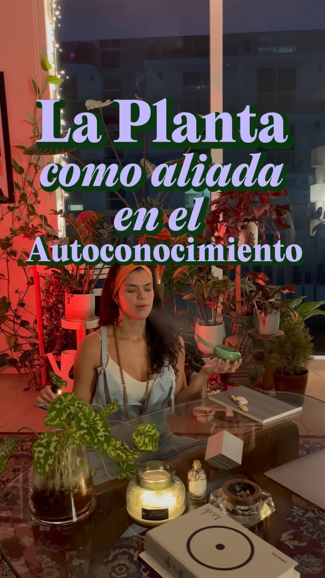Post 6 by The Plant Department on Instagram (video)