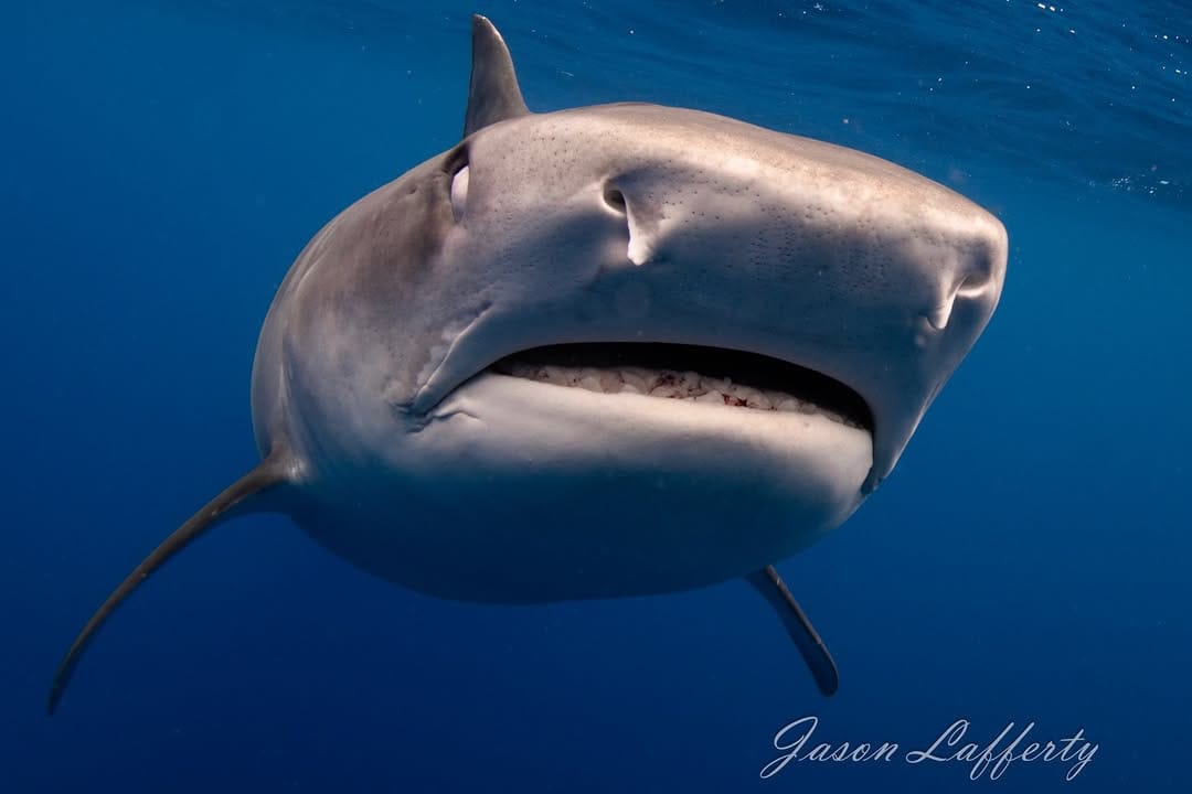 Post 1 by Jason Lafferty on Instagram (image)