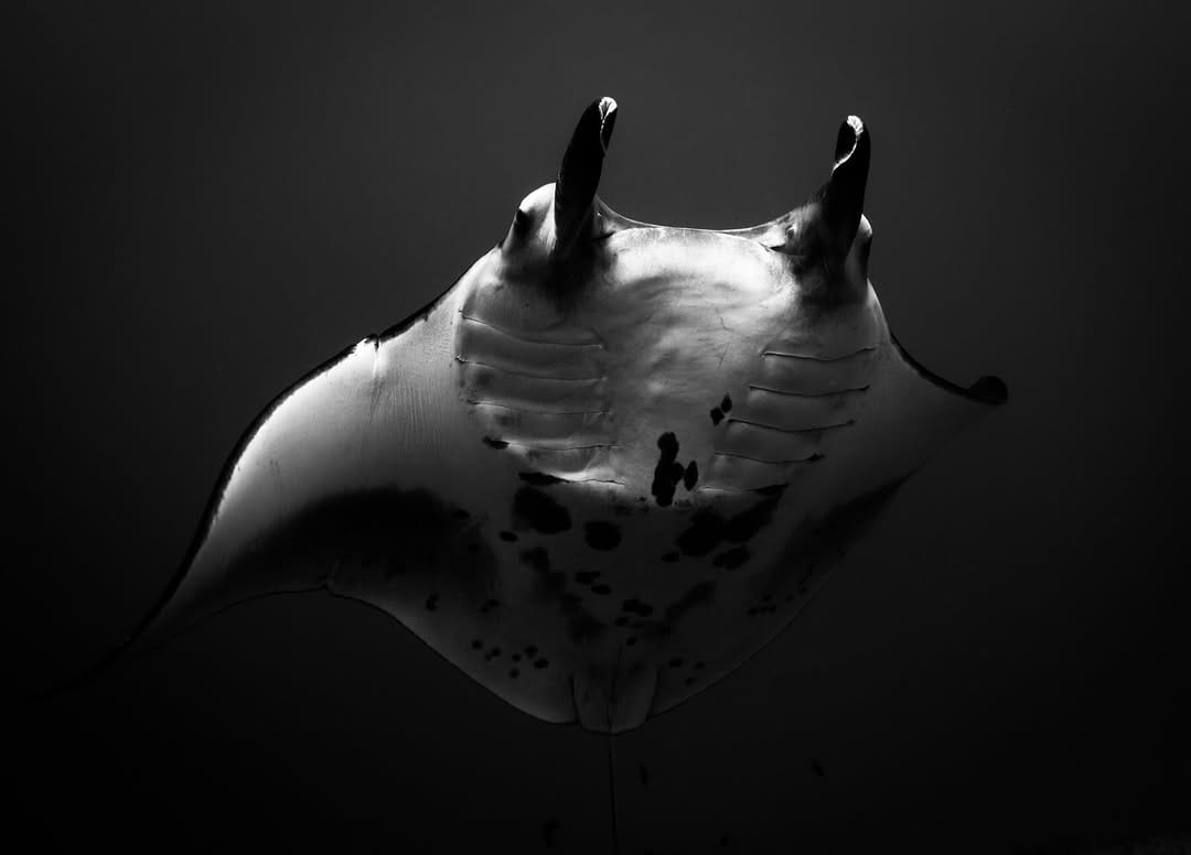 Post 2 by Jason Lafferty on Instagram (image)