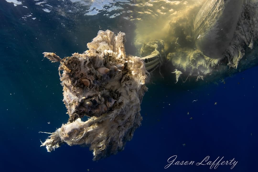 Post 6 by Jason Lafferty on Instagram (image)
