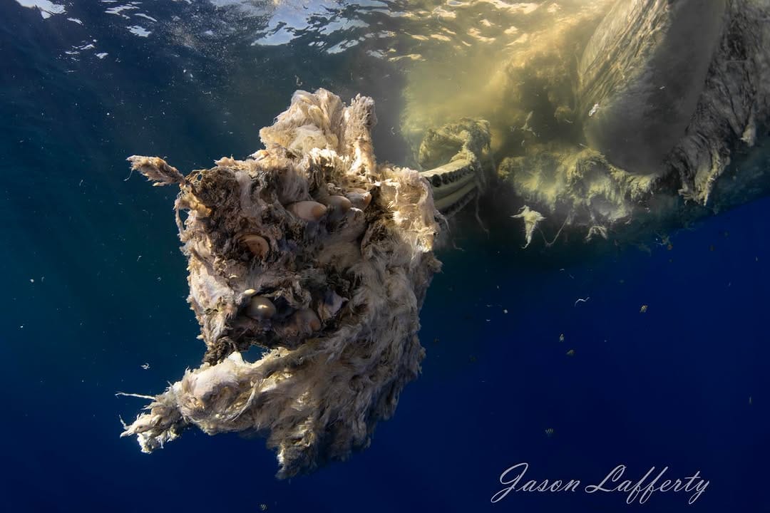 Post 5 by Jason Lafferty on Instagram (image)