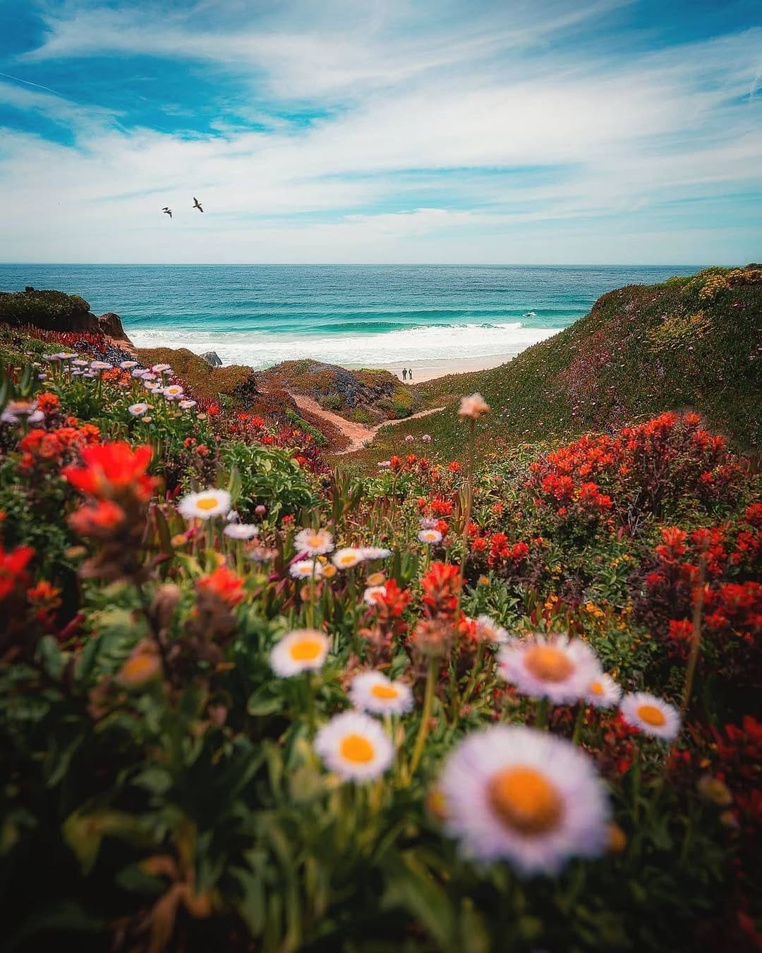 Post 5 by TopCaliforniaPhoto on Instagram (image)