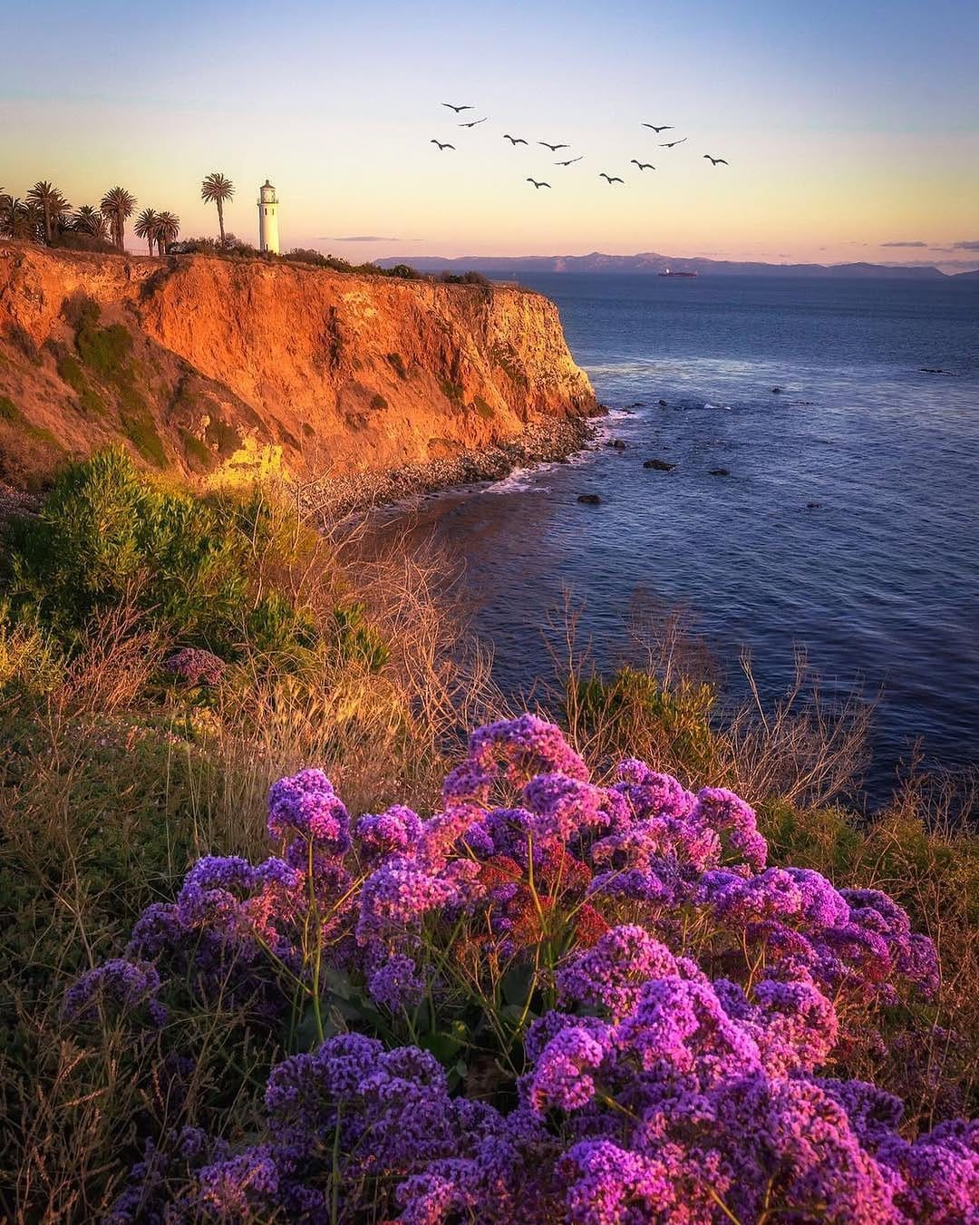 Post 2 by TopCaliforniaPhoto on Instagram (image)