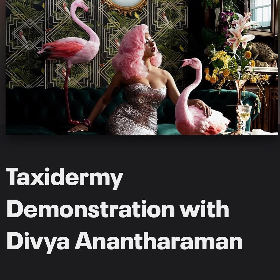 Post 10 by @taxidermy on Instagram (image)