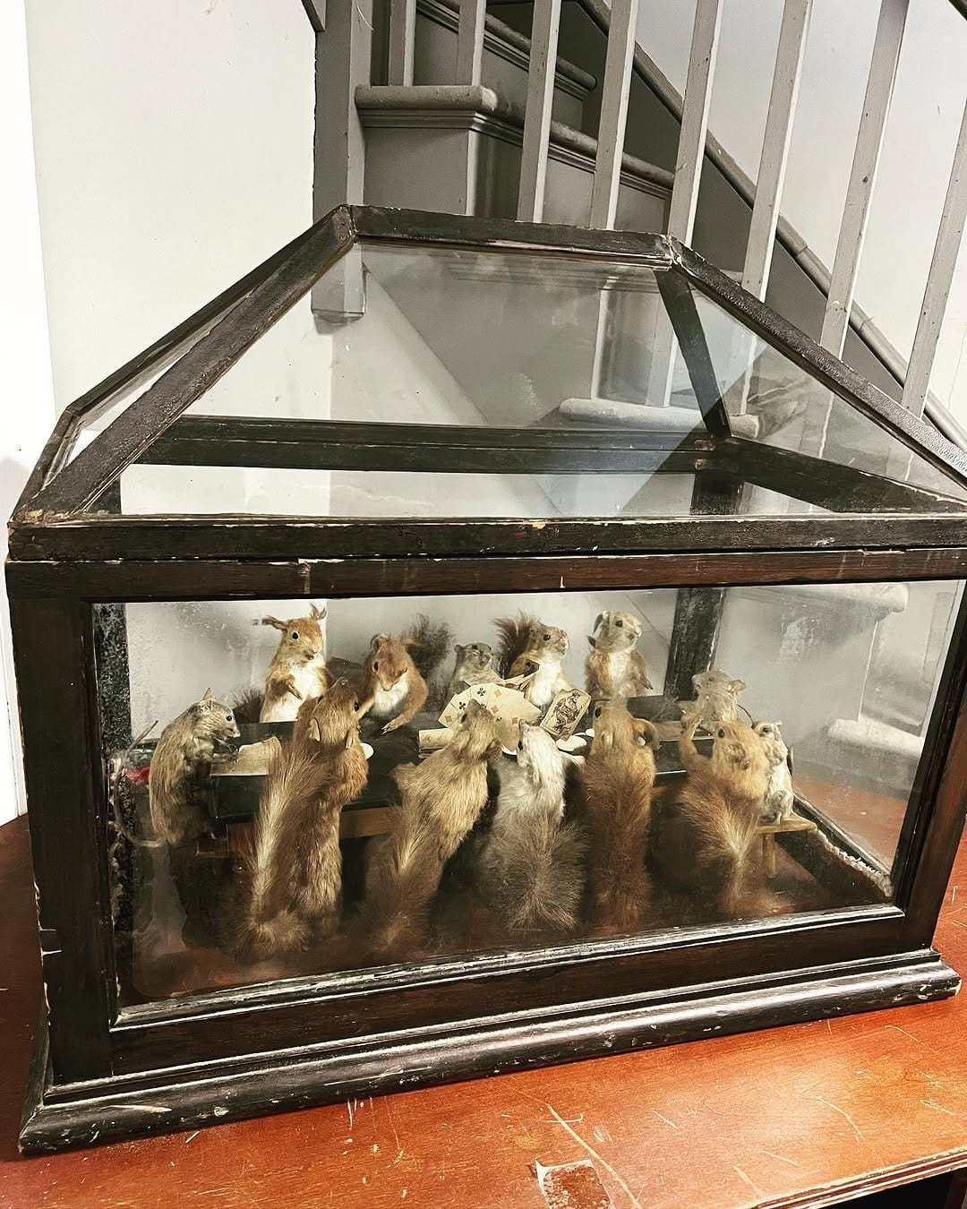 Post 4 by @taxidermy on Instagram (carousel)