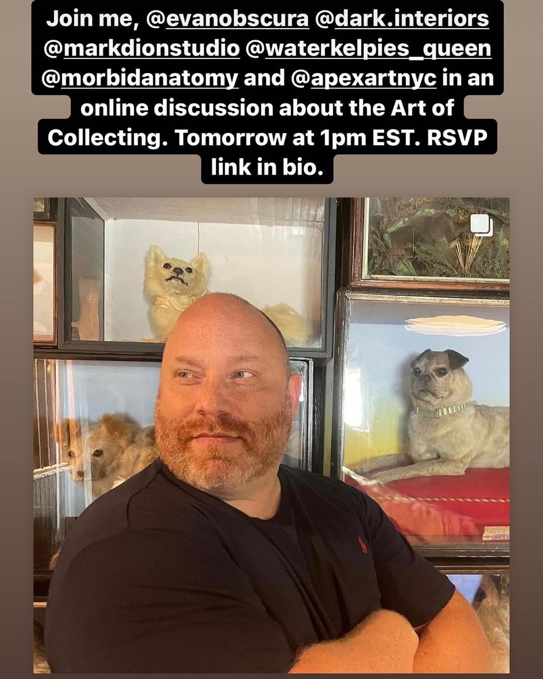 Post 9 by @taxidermy on Instagram (image)