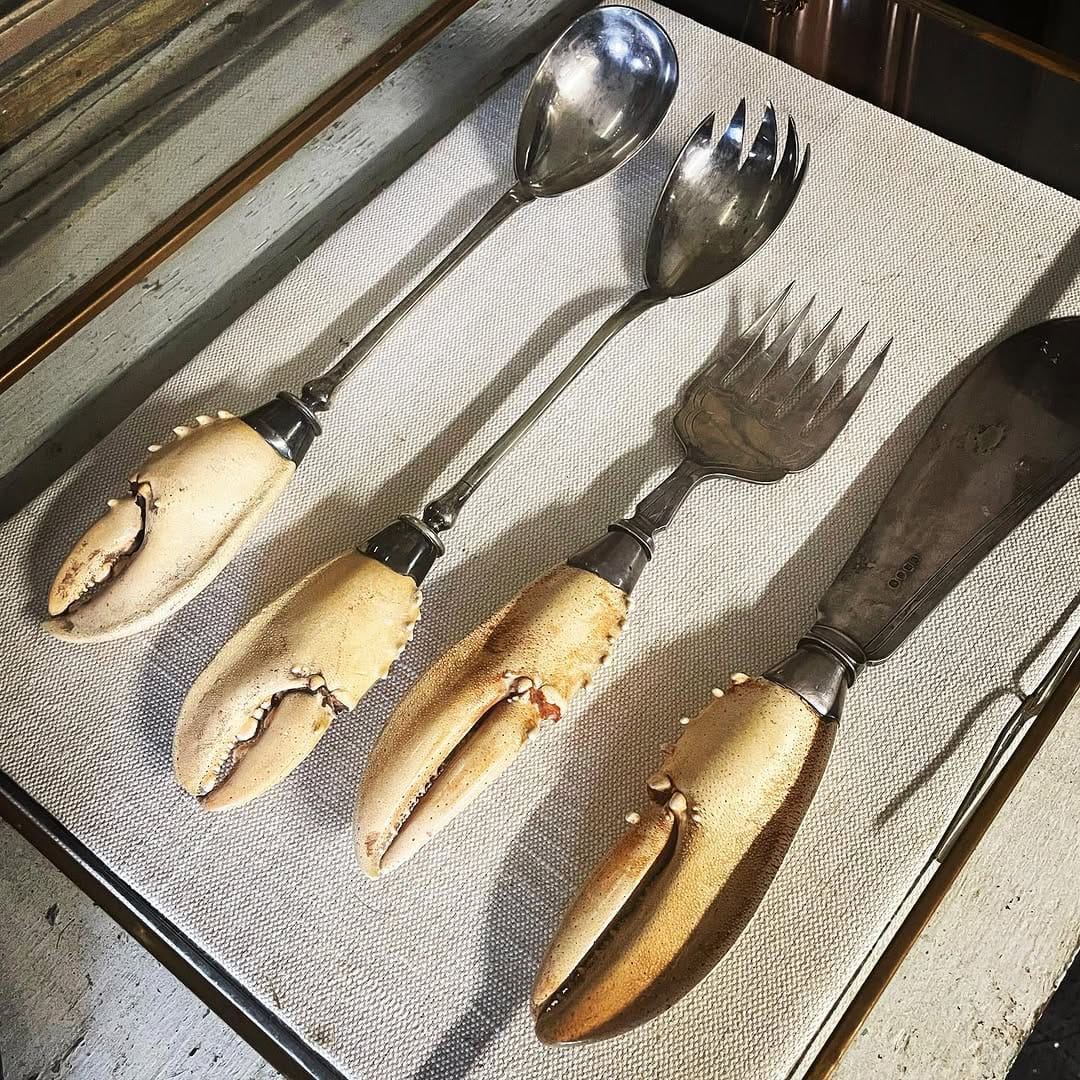 Post 7 by @taxidermy on Instagram (image)