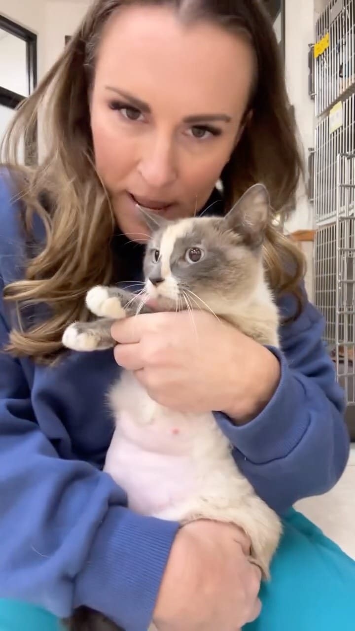Post 4 by Friends Of Normie on Instagram (video)
