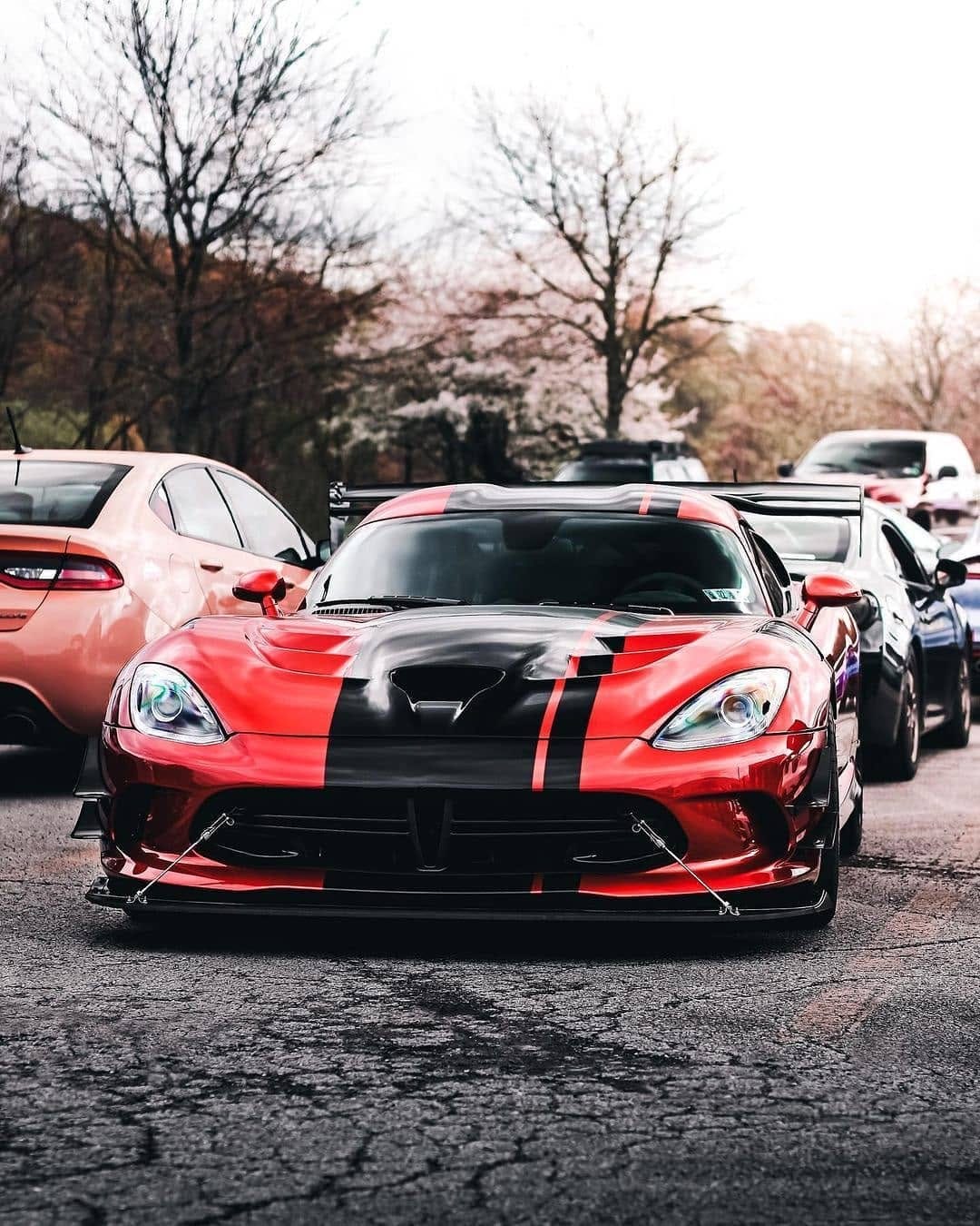 Post 4 by Vettes And Vipers on Instagram (image)