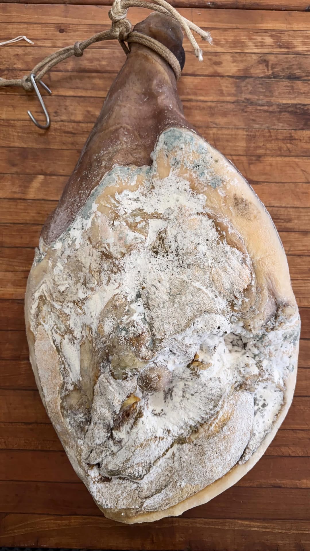 Post 6 by Hand Hewn Farm on Instagram (video)
